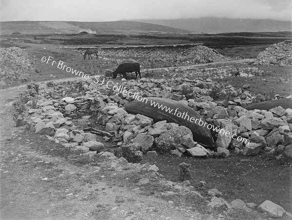 PANORAMA WITH CURRACH